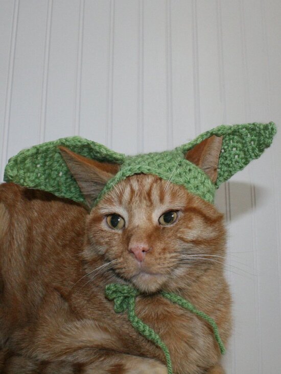 Hand Crafted Other - HAND CRAFTED Baby Yoda Mandalorian Crochet Cat Hat Wig Ears Costume Photo Prop